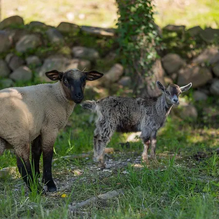 Bed & Breakfast Magnolias 4*