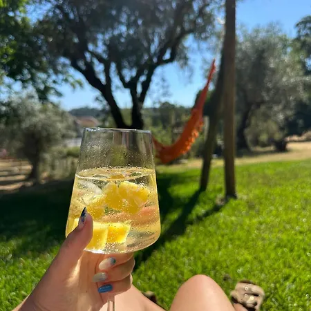 Magnolias Bed & Breakfast