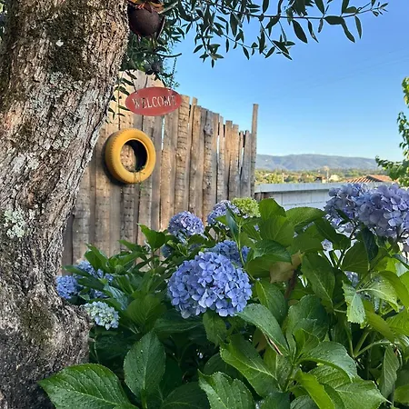 Magnolias Bed & Breakfast Lousã