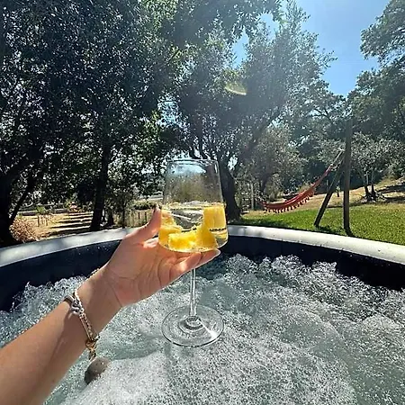 Magnolias With Jacuzzi And Mountain View 3* Lousa (Coimbra)