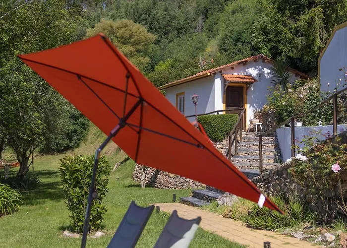 Alojamento de Acomodação e Pequeno-almoço Magnolias Lousã