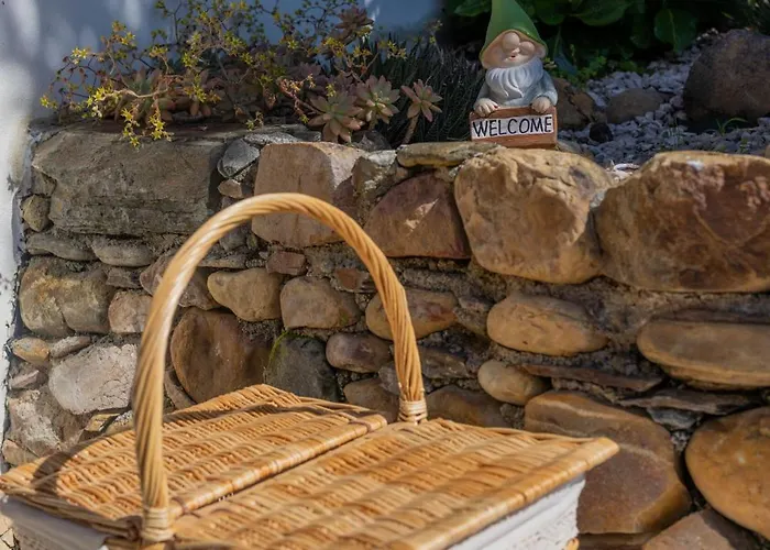 Alojamento de Acomodação e Pequeno-almoço Magnolias Lousã