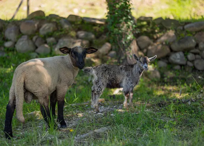 Alojamento de Acomodação e Pequeno-almoço Magnolias 4*